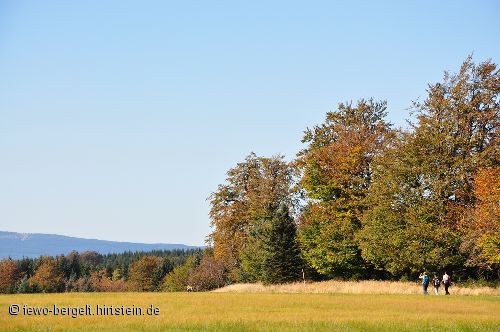 Wandergebiet am Hirtstein